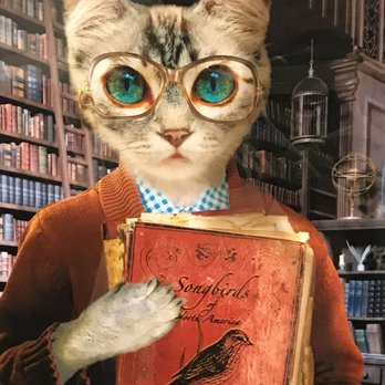 Woolworth Walk - Cat reading songbird. Funny - Art Galleries Near Me - Asheville, North Carolina