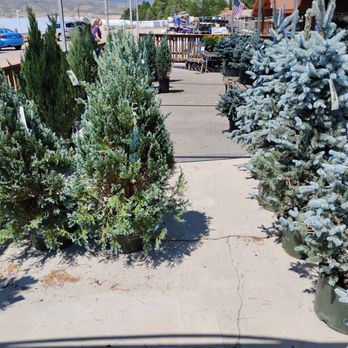 Gulley Greenhouse - Nurseries & Gardening Near Me - Fort Collins, Colorado Gulley Greenhouse - Nurseries & Gardening Near Me - Fort Collins, Colorado