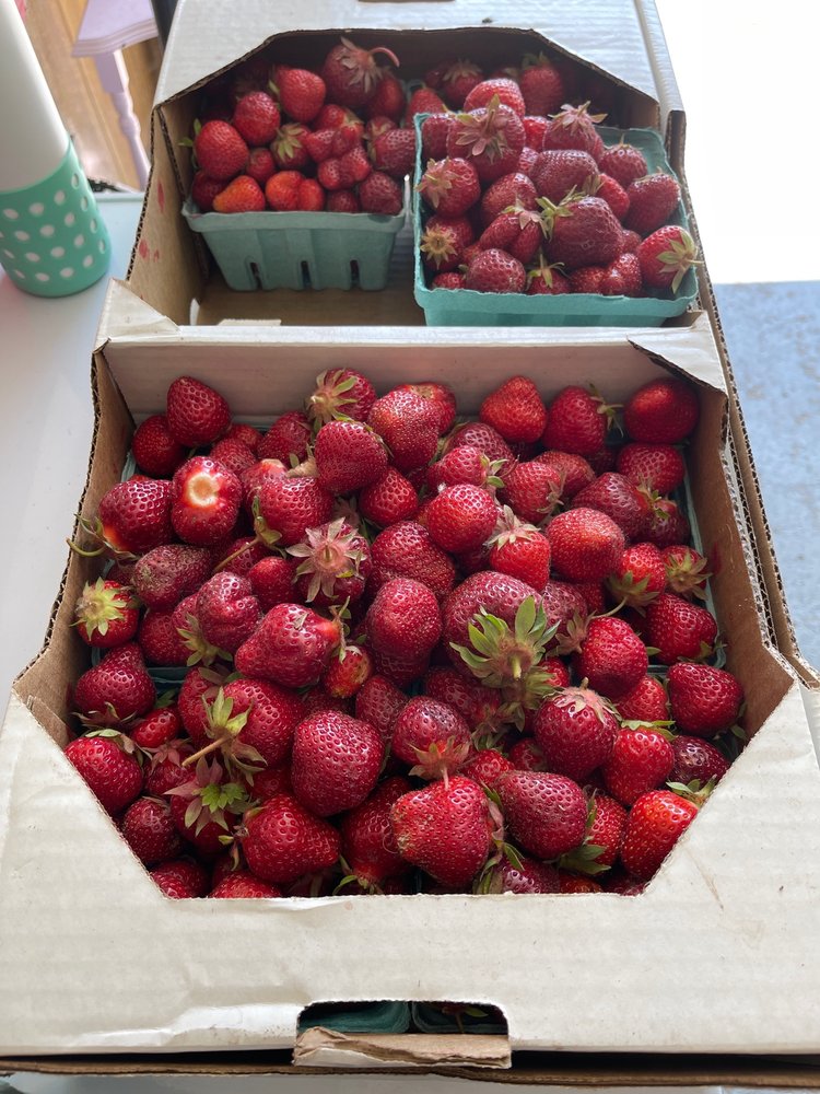 COULTER FARMS MARKET Updated September 2024 14 Photos 3870 N