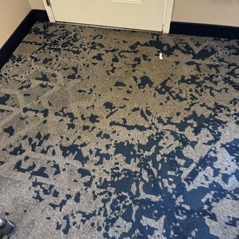 Baymont by Wyndham Crestview - Dirty dirty dirty carpet. - Hotels Near Me - Crestview, Florida