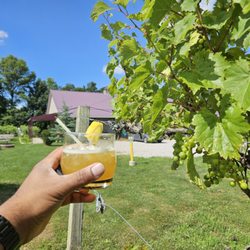 Echo Spirits On The Vine