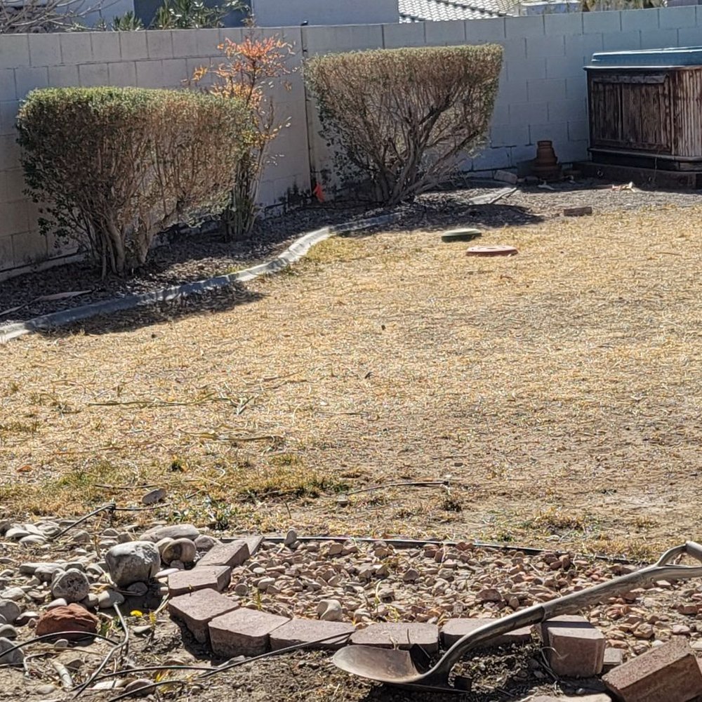 We Scoop 4 You - After - Pet Waste Removal Near Me - Las Vegas, Nevada We Scoop 4 You - After - Pet Waste Removal Near Me - Las Vegas, Nevada