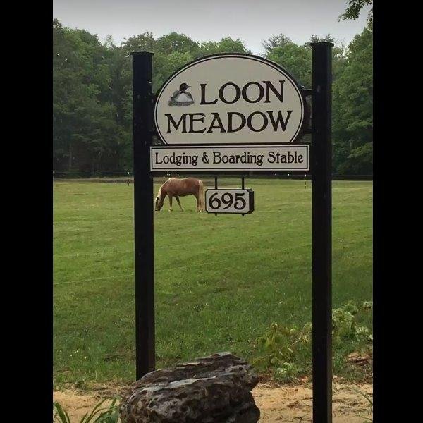 Loon Meadow Farm - equestrian in Greenfield Center, NY