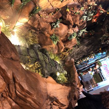 Rainforest Cafe 451 Photos 436 Reviews American Traditional 3717 S Las Vegas Blvd Las Vegas Nv Restaurant Reviews Phone Number