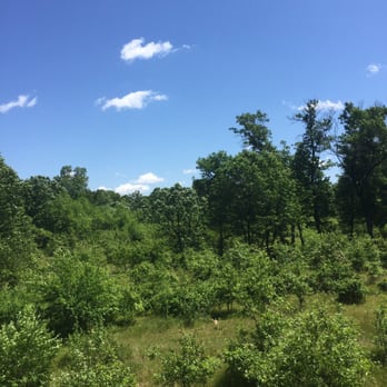 Buckhorn State Park - Parks Near Me - Necedah, Wisconsin Buckhorn State Park - Parks Near Me - Necedah, Wisconsin