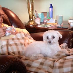 WeeOnes Bed & Breakfast & Bark - Adorablicious Bumper