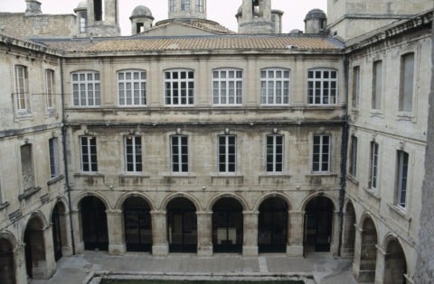 Muséum d'histoire naturelle de Nîmes by null