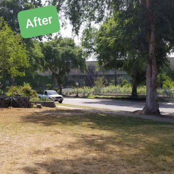 Charles Gilbert Tree Service - AFTER - Tree Services Near Me