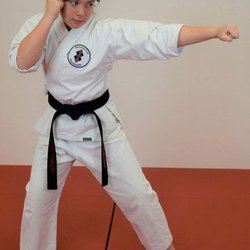 Samurai Inti Martial Arts - untitled