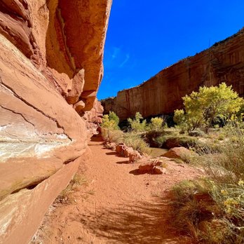 Hickman Bridge - Views from the trail! - Hiking Near Me - Fruita, Utah