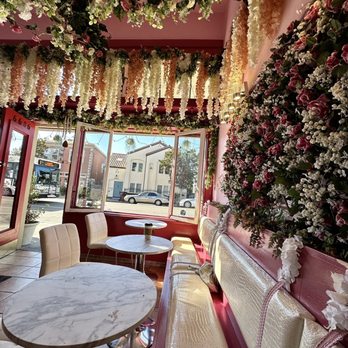 Damask Rose Coffee - Coffee & Tea Near Me - Oakland, California Damask Rose Coffee - Coffee & Tea Near Me - Oakland, California