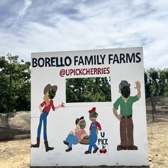 U Pick Orchards - Pick Your Own Farms Near Me - Morgan Hill, California