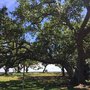 Photo of University of Southern Mississippi-Gulfport