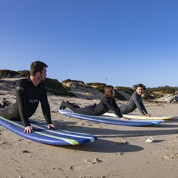 Monterey Expeditions