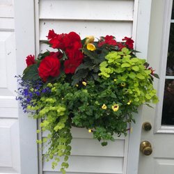 Dean's Greenhouse - This is a hanging planter that was planted by the good folks at Dean's and we are thrilled with it!