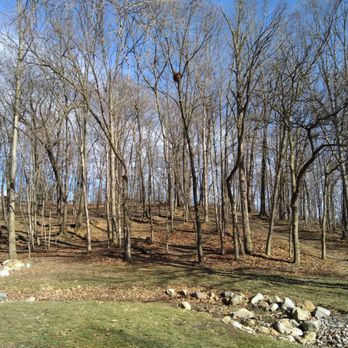 Wyman Woods Park - Woods with short trails to explore - Parks Near Me - Grandview Heights, Ohio Wyman Woods Park - Woods with short trails to explore - Parks Near Me - Grandview Heights, Ohio
