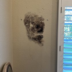 EXACT LEAK DETECTION - 39 Photos & 85 Reviews - 9349 Narnia Dr