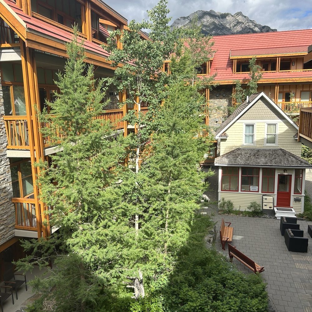 You can rent the little house too