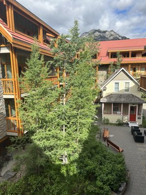 Moose Hotel & Suites by null