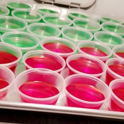 Antojitos Maya - Jelloshot's
