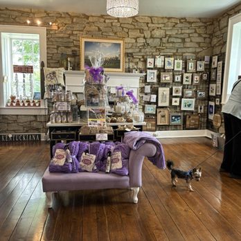 Little Mount Lavender Company - Gift Shops Near Me - Simpsonville, Kentucky Little Mount Lavender Company - Gift Shops Near Me - Simpsonville, Kentucky