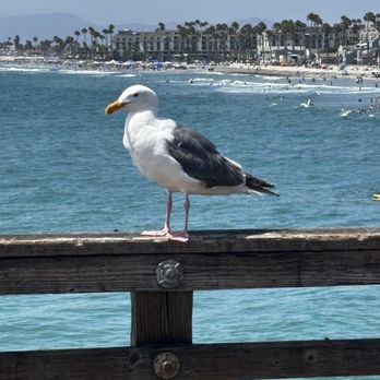 Oceanside Pier - Venues & Event Spaces Near Me - Oceanside, California