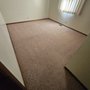 Woods Carpet Cleaning