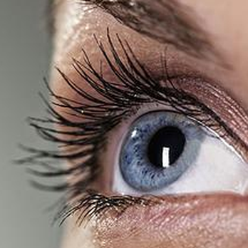 Wafa Brows and Permanent Makeup - Skin Care Near Me - Boca Raton, Florida Wafa Brows and Permanent Makeup - Skin Care Near Me - Boca Raton, Florida