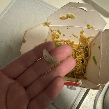 Panda Express - Plastic in chow mien - Chinese Near Me - Colorado Springs, Colorado