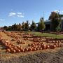 Photo of Allison's Farm Market