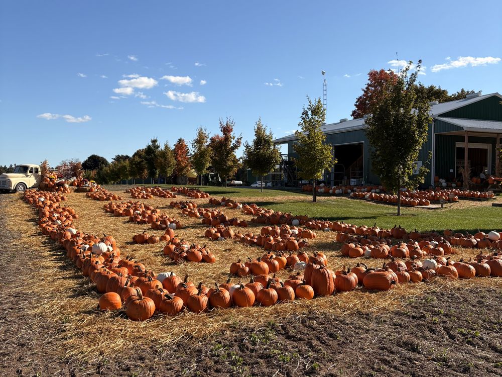 Allison's Farm Market Logo