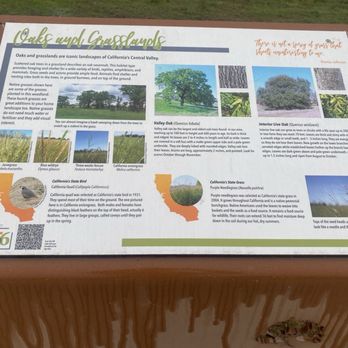 The Preserve at District 56 - Parks Near Me - Elk Grove, California The Preserve at District 56 - Parks Near Me - Elk Grove, California