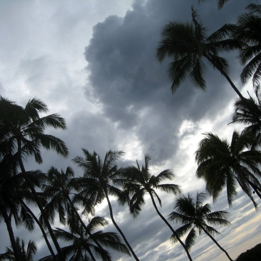 Lanikuhonua - Tropical Clouds and Palms - Party & Event Planning Near Me - Kapolei, Hawaii Lanikuhonua - Tropical Clouds and Palms - Party & Event Planning Near Me - Kapolei, Hawaii