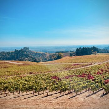 Main Street Drivers - Wineries in Willamette Valley, OR - Wine Tours Near Me - Penn Yan, New York