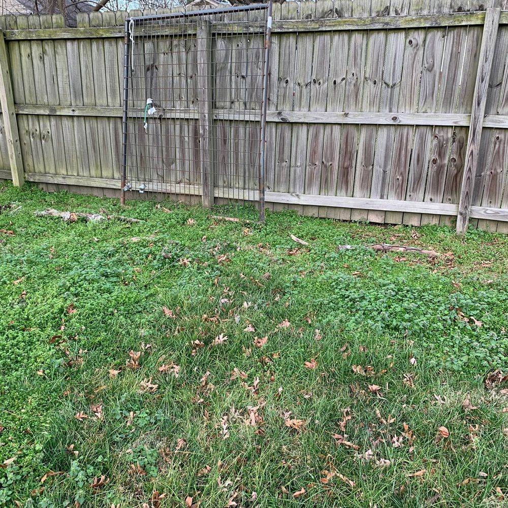 GrowinGreen - Before, weeds and Bermuda grass. - Landscaping Near Me - Kernersville, North Carolina GrowinGreen - Before, weeds and Bermuda grass. - Landscaping Near Me - Kernersville, North Carolina