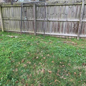 GrowinGreen - Before, weeds and Bermuda grass. - Landscaping Near Me - Kernersville, North Carolina