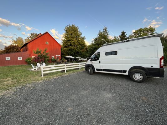 Saginaw Vineyard by null