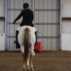 Kate Bennett Horsemanship