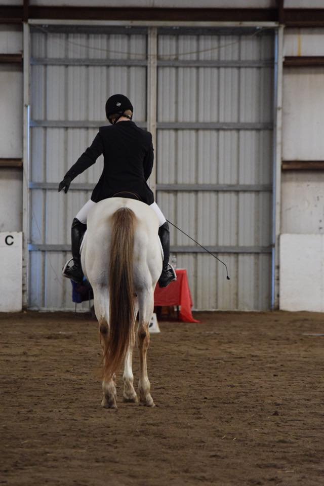Kate Bennett Horsemanship - equestrian in Scarborough, ME