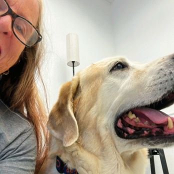 Paws Plus Veterinary - Gator! - Veterinarians Near Me - Lakeland, Florida Paws Plus Veterinary - Gator! - Veterinarians Near Me - Lakeland, Florida