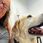 Photo of Paws Plus Veterinary