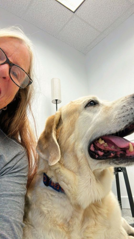 Paws Plus Veterinary - social services organization in Lakeland, FL