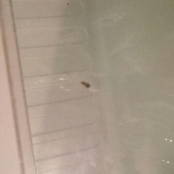 M Motel - Roach inside fridge where I had food and drinks - Hotels Near Me - El Monte, California