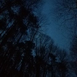 Wooster Memorial Park - Moonlight over a snowy Spangler Trail in January 2021
