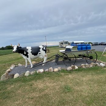 Mac's Dairy Bar - for the cow out front - Ice Cream & Frozen Yogurt Near Me - Penn Yan, New York Mac's Dairy Bar - for the cow out front - Ice Cream & Frozen Yogurt Near Me - Penn Yan, New York