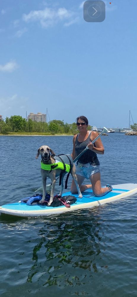 Salty Dog Paddle Logo