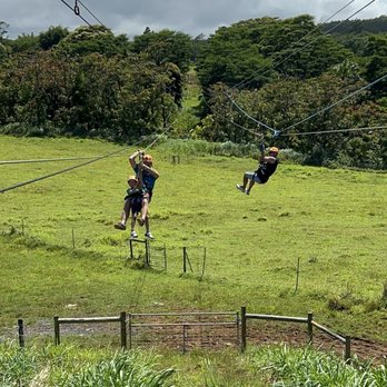 Botanical World Adventures - My son going tandem with the guide with me racing beside them on the second zipline - Botanical Gardens Near Me - Hakalau, Hawaii Botanical World Adventures - My son going tandem with the guide with me racing beside them on the second zipline - Botanical Gardens Near Me - Hakalau, Hawaii