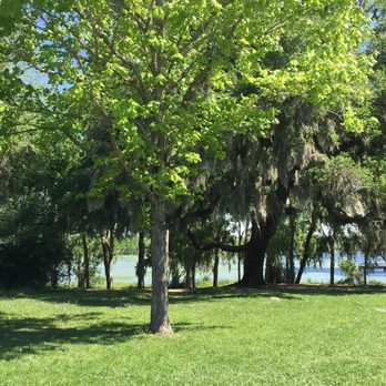 Brazos Bend State Park - Parks Near Me - Needville, Texas Brazos Bend State Park - Parks Near Me - Needville, Texas