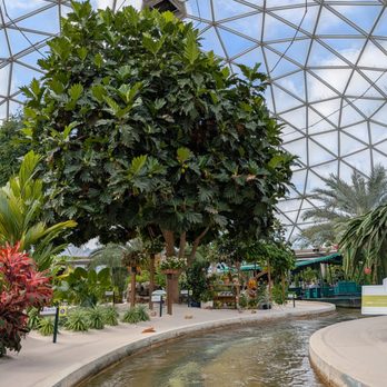 The Land Pavilion - On the Living with the Land boat ride at The Land Pavilion at Epcot at Walt Disney World. Inside the greenhouse. - Amusement Parks Near Me - Kissimmee, Florida The Land Pavilion - On the Living with the Land boat ride at The Land Pavilion at Epcot at Walt Disney World. Inside the greenhouse. - Amusement Parks Near Me - Kissimmee, Florida