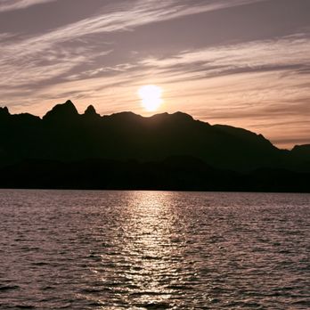 Wild Loreto Tours - Tours Near Me - Loreto, ZAC Wild Loreto Tours - Tours Near Me - Loreto, ZAC